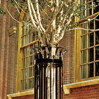 tree guard